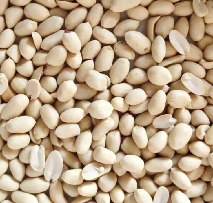 Blanched Peanuts