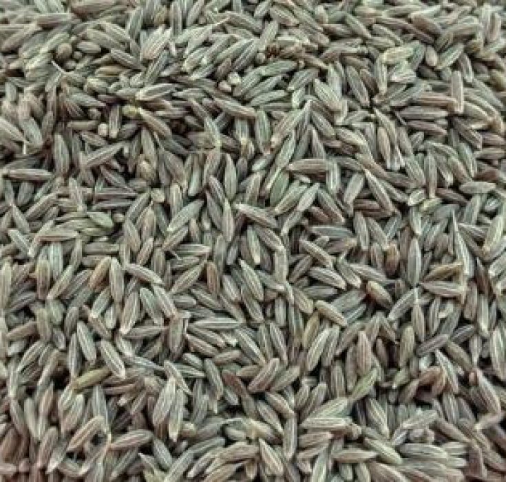 Cumin Seeds